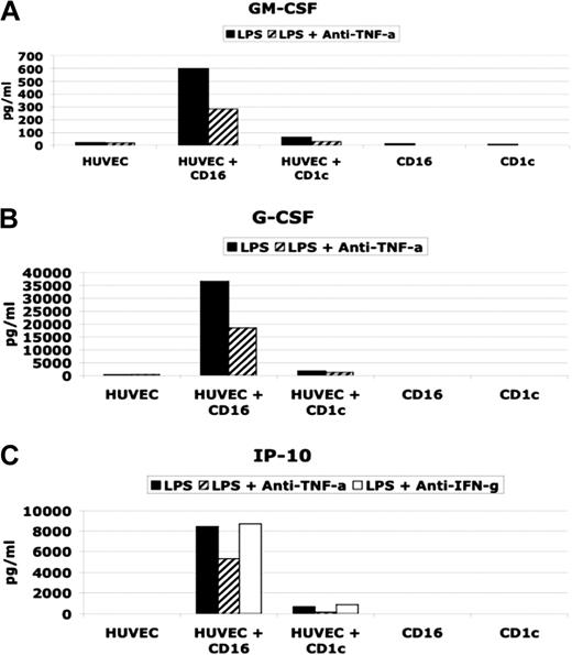 Figure 5. Effect on HUVEC cytokine secretion by CD16 and CD1c-mDCs. (A and B) GM-CSF and G-CSF secretion in HUVEC/DC coculture stimulated with LPS in presence or absence of neutralizing anti TNF-α antibodies. (C) (CXCL10) IP-10 secretion in HUVEC/DC coculture stimulated with LPS in presence or absence of neutralizing anti-TNF-α and anti-IFN-γ antibodies.