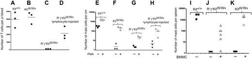 Figure 6. Role of lymphocytes and the common γ chain for mast cells in KitW/Wv mice. Adoptive transfer of wild-type (R+γ+Kit+/+) splenic lymphocytes into R−γ−KitW/Wv mice (D) lead to approximately 50% reconstitution of circulating T cells compared with Kit+/+ (A) or KitW/Wv (B) mice. Nonreconstituted R−γ−KitW/Wv mice are shown as controls (C). Ears in these groups of mice were subjected to PMA treatment over a period of 6 weeks, and mast cell numbers in treated and untreated ears from all mice were determined by histology (E-H). The differences in mast cell counts comparing untreated (closed symbols) and PMA-treated (open symbols) skin samples had significant one-sided P values (P = .05, Mann-Whitney test) in panels E through H. The P value (.2) comparing the PMA-treated skins in panel G versus panel H was not significant (see text). Kit+/+ were 13-week-old C57BL/6 mice (A,E). KitW/Wv (B,F), noninjected R−γ−KitW/Wv (C,G), and lymphocyte-recipient R−γ−KitW/Wv (D,H) mice were 17 to 20 weeks old. Donors (D,H) were 25-week-old C57BL/6 mice. To determine the possible role of γc for the defective mast cell reconstitution in R−γ−KitW/Wv mice, wild-type (R+γ+Kit+/+) BMMCs were injected repeatedly (see “Material and methods” for cell numbers, frequency of injections, and duration of the experiment) into R−γ−KitW/Wv (J) and KitW/Wv (K) mice. Numbers of mast cells in the spleen, a site that is more effectively colonized than skin following intravenous transfer of BMMCs,33 were determined by flow cytometry in noninjected controls (solid symbols in I-K) and in injected R−γ−KitW/Wv (J) and KitW/Wv (K). Age of the mice was 17 weeks (C57BL/6) (I), 9 to 11 weeks (noninjected R−γ−KitW/Wv) (J), 13 to 30 weeks (BMMC-injected R−γ−KitW/Wv) (J), 21 weeks (noninjected KitW/Wv) (K), and 39 weeks (BMMC-injected KitW/Wv) (K). Mast cells appeared in the spleens of both types of recipients, but their numbers were at least one order of magnitude higher in KitW/Wv compared with R−γ−KitW/Wv. The one-sided P value (.004) of the comparison of the BMMC-injected animals in panel J versus panel K by Mann-Whitney test was significant. Horizontal lines indicate the mean cell number for each group of mice (A-K). Hence, γc-competent mast cells did not rescue the defective mast cell reconstitution in R−γ−KitW/Wv mice.