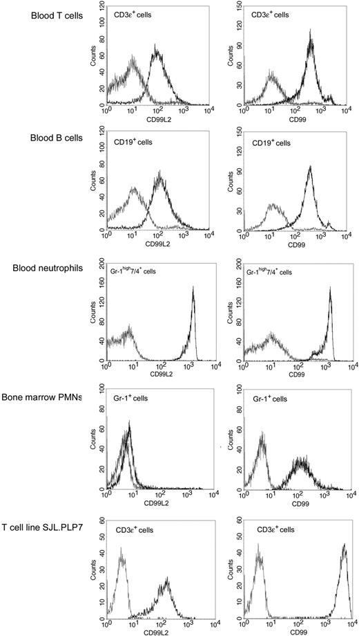 Figure 3. Expression of CD99L2 on leukocytes and comparison with CD99. Detection of CD99L2 (left panels) and CD99 (right panels) primary T cells, B cells, and neutrophils isolated from blood and on neutrophils derived from bone marrow and on the T cell line SJL.PLP7 was analyzed by flow cytometry. Binding of affinity purified anti-CD99L2 or anti-CD99 antibodies (black lines) and control IgG (gray lines).