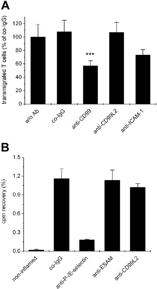 Figure 5. Antibodies against CD99L2 do not affect lymphocyte transmigration in vitro and lymphocyte extravasation in vivo. (A) Transendothelial migration of SJL.PLP7 T lymphocytes is not affected by anti-CD99L2 antibodies. SJL.PLP7 cells were allowed to transmigrate through a monolayer of bEnd.5 cells grown on transwell filters for 30 minutes in the presence of 100 ng/mL SDF-1 in the lower chamber. Endothelial cells were incubated for 30 minutes before the assay either without antibodies (w/o Ab) or with preimmune control IgG (co-IgG), affinity purified anti-CD99 IgG (anti-CD99), affinity purified anti-CD99L2 IgG (anti-CD99L2), or a monoclonal antibody against ICAM-1 (anti-ICAM-1). Antibodies (each 30 μg/mL) remained present during the assay. Each panel is representative of at least 3 experiments; each measurement was done in triplicate. ***P < .001 anti-CD99 versus co-IgG. (B) Migration of lymphocytes into inflamed skin is not affected by anti-CD99L2. Radiolabeled in vivo-activated T cells were injected intravenously into hapten-challenged mice together with (50 μg each) control IgG from preimmune serum (co-IgG), or monoclonal antibodies against P-selectin and E-selectin (anti–P-/E-selectin), affinity-purified antibodies against ESAM (anti-ESAM), or affinity-purified antibodies against CD99L2 (anti-CD99L2). The bar on the left represents radioactivity accumulating in the noninflamed ear. Statistical analysis was done by Student t test. Results are representative for 3 similar experiments; for each determination, 4 mice were analyzed. Numbers on the left refer to the percentage of injected cells that were found in the analyzed ear.