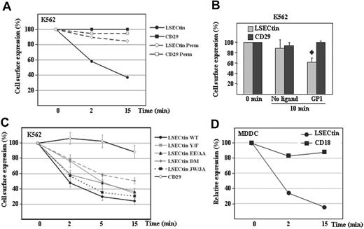Figure 7. Ligand-induced internalization of LSECtin in transfectants and monocyte-derived dendritic cells. (A) Monoclonal antibody-induced internalization of LSECtin in K562 transfectants. K562-LSECtin cells were incubated with either the SOTO1 (antiLSECtin) or the P5D2 (antiCD29) antibodies for 30 minutes at 4°C. After extensive washing in cold phosphate-buffered saline, cells were transferred to 37°C for the indicated time points, fixed, and the presence of cell surface-bound antibodies detected with FITC-labeled F(ab′)2 anti-mouse IgG. Where indicated, cells were fixed and permeabilized before addition of the fluorescent secondary antibody (Perm). Values represent the fluorescence intensity of the cells at the distinct time points relative to the fluorescence intensity of control cells maintained at 4°C. One representative experiment of two is shown. (B) Ebola GP1-induced internalization of LSECtin. K562-LSECtin cells were either untreated or incubated with Ebola virus GP1-Fc (GP1) for 10 minutes at 37°C, transferred to 4°C, and the expression of LSECtin or the CD29 integrin (negative control) determined by indirect immunofluorescence with SOTO1 or P5D2 monoclonal antibodies and FITC-labeled F(ab′)2 anti-mouse IgG. Values represent the fluorescence intensity of the cells at the distinct time points relative to the fluorescence intensity of control cells maintained at 4°C. Mean ± standard deviation of three independent experiments is shown (*P = 0.001). (C) Cytoplasmic motifs involved in LSECtin ligand-induced internalization. K562 cells were transiently transfected with expression vectors for WT LSECtin or LSECtin mutated at Y6 (LSECtin Y/F), E14E15 (LSECtin EE/AA), W21GRW24VHW27 (LSECtin 3W/3A), or at both Y6 and E14E15 (LSECtin DM). Twenty-four hours later, cells were washed and incubated with the SOTO1 (anti-LSECtin) or the P5D2 (anti-CD29) antibodies for 30 minutes at 4°C. After extensive washing in cold phosphate-buffered saline, cells were transferred to 37°C for the indicated time points (2, 5, 15 minutes), placed on ice, and the presence of cell surface-bound antibodies detected with FITC-labeled F(ab′)2 anti-mouse IgG. Values represent the fluorescence intensity of the cells at the distinct time points relative to the fluorescence intensity of control cells maintained at 4°C. Shown are the mean and standard deviation of three independent experiments. (D) Monoclonal antibody-induced internalization of LSECtin in MDDC. MDDC were incubated with either the SOTO1 (anti-LSECtin) or the TS1/18 (anti-CD18) antibodies for 30 minutes at 4°C. After extensive washing in cold phosphate-buffered saline, cells were transferred to 37°C for the indicated time points and immediately transferred to 4°C. The presence of cell surface-bound antibodies was detected with FITC-labeled F(ab′)2 anti-mouse IgG. Relative expression of each protein was measured by multiplying the percentage of marker-positive cells by their mean fluorescence intensity and is referred to the value obtained for control cells maintained at 4°C (considered as 100). One representative experiment of two is shown.
