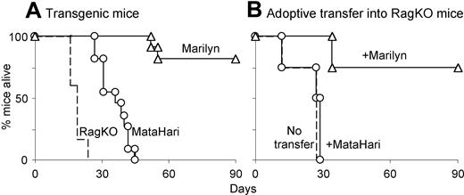 Figure 2. Marilyn CD4 cells reject MB49 tumor in vivo better than MataHari CD8 cells. (A) Survival of RAG.KO mice (dashed line), MataHari mice (circles) or Marilyn mice (triangles) after challenge with MB49 tumor cells. (B) Survival of RAG.KO mice that were infused one day after tumor challenge with 106 MataHari cells (circles) or 105 Marilyn cells (triangles) or no cells (dashed line).