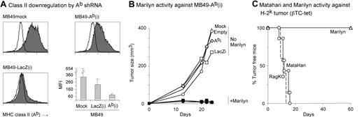 Figure 4. Role of MHC Class II on tumor cells. (A) shRNA-mediated down-regulation of MHC class II expression by MB49. Three RAG.KO mice per group were challenged (day 0) with each of the tumor cell lines, MB49mock, MB49-LacZ(i), and MB49-Ab(i). On day 5, they received 8 × 105 Marilyn cells to induce the up-regulation of class II molecules and on day 13 the tumors were taken for analysis (gating on the CD45.2− and 7-AAD− population to exclude immigrating immune cells and dead cells). Histograms represent class II (Ab) staining of the tumor cells from one mouse from each group. Empty line is the isotype control. Bar graph represents the averages of the mean fluorescence of the 3 mice per group (gray area) compared with that of the isotype controls (white). (B) Marilyn cells reject tumors with knocked-down Ab: RAG.KO mice were challenged with either 105 MB49 mock cells (no symbol), or MB49-∅ (circles), MB49-LacZ(i) (squares), or MB49-Ab(i) (diamonds) cells. One day later, half of the mice in each group received 106 Marilyn cells (closed symbols). The average tumor size (10-20 mice total per group), from 3 individual experiments is shown. (C) Marilyn mice reject tumors that do not express Ab. Percentage of tumor free RAG.KO (broken line), MataHari (circles), or Marilyn (triangles) mice after challenge with 5 × 106 βTC-tet (H-2k) pancreatic tumor cells. Data were pooled from 2 experiments.