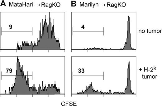 Figure 5. H-Y antigen is cross-presented in vivo to both MataHari and Marilyn T cells. CFSE dilution of MataHari (A) or Marilyn (B) T cells 4 days after transfer into either H-2bRAG.KO tumor free (top panels) or H-2k-tumor bearing (bottom panels) mice. Histograms are gated on TCRαβ and CD8 or CD4, for MataHari or Marilyn, respectively. Cells are from the inguinal and axillary lymph nodes (the tumor-draining lymph nodes in the tumor-bearing mice). Numbers represent the percentage of TCR transgenic cells that divided more than 6 times.