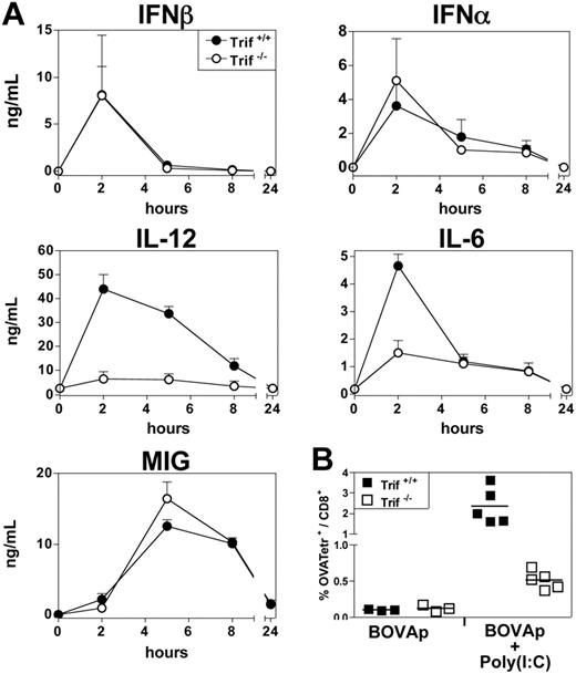 Figure 5. Trif dependence of poly(I:C) adjuvant properties. (A) Trif−/− mice and their Trif+/+ littermates received a single intravenous injection of poly(I:C) (25 μg), and, various times after injection, their sera were titrated for IFN-α, IFN-β, IL-12p40, IL-6, and MIG by ELISA. Results are expressed as means ± SEM for 4 mice per group, tested in 2 independent experiments. (B) Trif+/+ and Trif−/− mice were left untreated or were immunized via the intravenous route with BOVAp either alone or in combination with poly(I:C). The specific CTL response was analyzed by tetramer staining on day 7. Data are representative of 2 independent experiments.