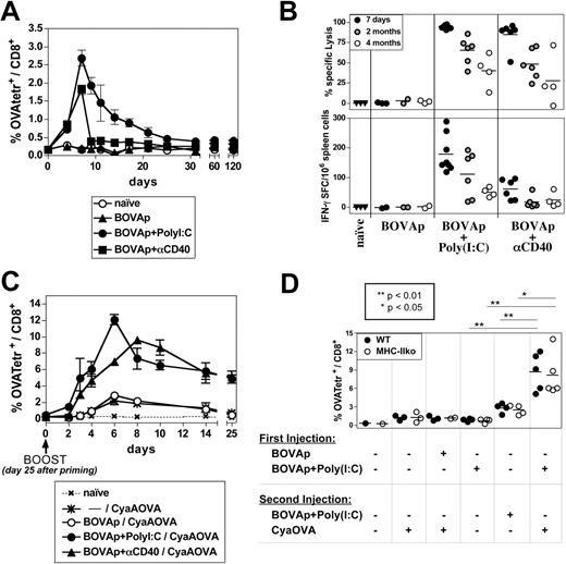 Figure 6. TLR3 signaling induces long-lasting effector/memory CD8+ T cells in the absence of CD4+ T-cell help. (A-B) C57BL/6 mice were left untreated or were immunized by a single intravenous injection of BOVAp with poly(I:C) or anti-CD40 mAb. (A) Kinetics of the OVA257-264–specific CD8+ T-cell primary response. At various times after priming, OVA257-264–specific (OVATetr+) CD8+ T cells were quantified in the spleen by tetramer staining. Results are expressed as means ± SEM for 5 to 7 mice, tested in 2 independent experiments. (B) Specific CTL response analyzed in the spleen by in vivo killing assay at 1 week, and 2 and 4 months after priming. Data are representative of 2 independent experiments. (C) Restimulation of the CTL memory response by CyaA-OVA. C57BL/6 mice were left untreated or received an injection (intravenously) of BOVAp with poly(I:C) or anti-CD40 mAb, and, 25 days later, mice remained untreated or received an intravenous injection of CyaA-OVA. The percentage of OVATetr+ CD8+ T cells was quantified in the spleen at various times after the second injection. Results are expressed as means ± SEM for 6 mice, tested in 2 independent experiments. (D) Restimulation by CyaA-OVA of the CTL memory response in MHC-IIko mice. C57BL/6 or MHC-IIko mice were left untreated or received an intravenous injection of BOVAp with poly(I:C), and, 25 days later, mice remained untreated or received a second intravenous injection of CyaA-OVA or of BOVAp with poly(I:C). The percentage of OVATetr+ CD8+ T cells was quantified in the spleen on day 7 after the second injection. Two-tailed unpaired t test with the Welch correction was used to analyze the results presented in panel D. Data are representative of 2 independent experiments.