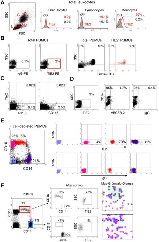 Figure 1. A subset of human monocytes express the TIE2 angiopoietin receptor. (A) Flow cytometry analysis of PB granulocytes (G), lymphocytes (L), and monocytes (M) identified on the basis of physical gating (dot plot on the left; gates indicated by dashed line) shows TIE2 expression in a subset of monocytes (open red line in the histogram plots on the right; filled line IgG isotype control). Percentages of marker-positive cells are indicated. (B) The TIE2+ PBMCs (red gate in left panels) are mostly CD14+ monocytes (dot plots on the right). Representative analysis of at least 16 performed on different donors. (C) The vast majority of TIE2+ PBMCs do not express the CEC/EPC markers AC133 or CD146. Rare TIE2+AC133+ and TIE2+CD146+ cells may represent EPCs and CECs, respectively. Similar findings were obtained on 2 different PBMC samples. (D) A small subset of TIE2+ cells are VEGFR-2+CD14+, likely representing previously described monocytes with endothelial-like functional capacity. (E) T-cell–depleted PBMCs were stained with FITC-conjugated anti-CD14, PC5-conjugated anti-CD16, and PE-conjugated anti-TIE2 or isotype control antibodies. Expression of CD14 and CD16 (dot plot on the left) identifies 2 distinct monocyte subsets (see text). The gated cell populations (stained in different colors) were analyzed for expression of TIE2 (top right dot plots) versus isotype control (bottom right dot plots). Note that the CD14lowCD16+ fraction (resident monocytes; red dots) is highly enriched in TIE2+ cells, whereas the CD14highCD16− fraction (inflammatory monocytes; violet dots) contains few TIE2+ cells. CD14− cells (blue and pink dots) mainly represent B and natural killer cells and are mostly TIE2−. Representative analysis of at least 6 experiments performed on different donors. (F) The 2 main monocyte subsets were sorted from PBMCs using the indicated gates (dot plot on the left) and reanalyzed for expression of CD14, CD16, and TIE2 (dot plots on the right) and after cytospin and May-Grünwald-Giemsa staining.
