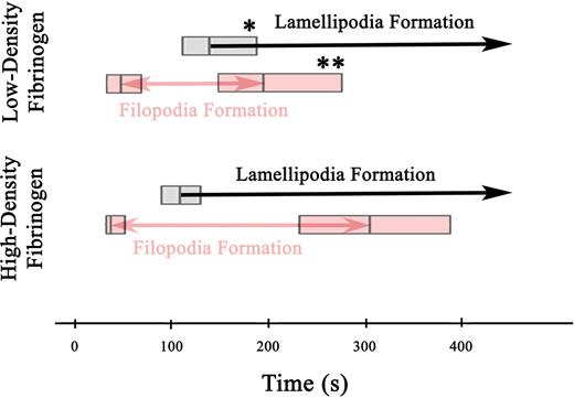 Figure 1. Filopodia and lamellipodia formation in platelets adhering to low- and high-density fibrinogen. Time-lapse TIR-FM imaging of platelets adhering to low- or high-density fibrinogen in the presence of Alexa 488-7H2Fab was recorded for 30 minutes after the addition of platelets into the fibrinogen-coated wells (Video S2). Individual platelets were analyzed for the appearance of new filopodia and onset of lamellipodia formation, counting the time they first appeared in the evanescent field (ie, within 200 nm of the substrate) as t = 0 seconds. The boxes in the figure represent the median and the 25th and 75th percentiles of the time to the onset and end of filopodia formation and the onset of lamellipodia formation. A total of 79 platelets were analyzed on low-density and 62 platelets on high-density fibrinogen from 2 independent experiments; *P = .03, **P = .04 low-density versus high-density fibrinogen.