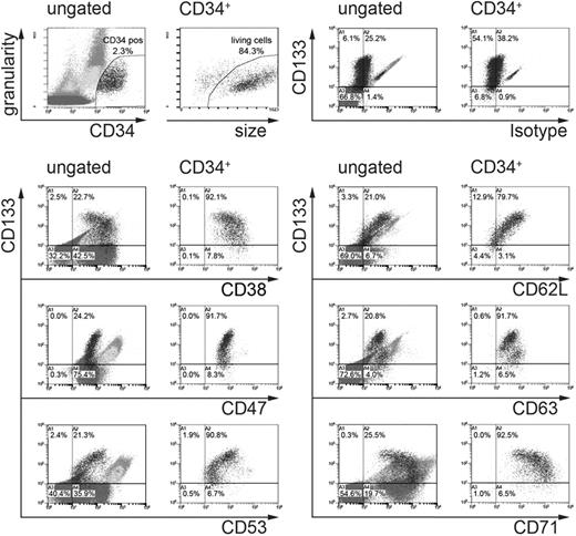Figure 3. Flow cytometric analyses of CB-derived MNCs that have been cultivated for 3 days in the presence of early-acting cytokines. Plots represent MNCs that are ungated or gated on CD34+ cells. The CD34+ gate used is shown in the first plot of the first row. The size of these cells plotted against their granularity is shown in the second plot of row 1. The remaining plots represent the intensity of CD133 staining against the intensity of the isotype control, an anti-CD38, anti-CD47, anti-CD53, anti-CD62L, anti-CD63, or anti-CD71 staining, respectively. Quadrants are adjusted according to isotype controls of CD34 negative cells. Note that CD34+CD133+ cells contain different levels of CD53, CD63, CD62L, and CD71 than CD34+CD133low/− cells.