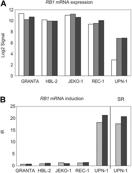 Figure 3. RB1 mRNA is stabilized in UPN-1 after NMD inhibition. (A) Normalized log2 transformed signals generated by GCOS for RB1 were plotted for all cell lines and treatments (mock, □; emetine, ▩; emetine plus actinomycin D, ■). (B) The RB1 induction ratios (IRs) for each cell line were plotted together with the RB1 stabilization ratio (SR) in UPN-1 (E, ▩; E + A, ■).