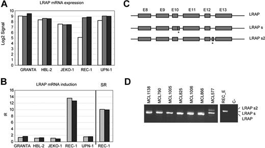 Figure 6. LRAP mRNA is stabilized in REC-1 after NMD inhibition. (A) Normalized signals generated by GCOS for LRAP were log2 transformed and plotted for all cell lines and treatments (mock, □; E, ▩; E + A, ■). (B) The LRAP induction ratios (IRs) for each cell line were plotted together with the LRAP stabilization ratio (SR) in REC-1 (E, ▩; E + A, ■). (C) Schematic view of the LRAP splicing identified in REC-1 (LRAPS2) together with the normal variant (LRAP) and with a previously reported splicing (LRAPS). PTCs are labeled with asterisks. (D) Identification in primary MCLs of the LRAP splicing described in REC-1 emetine-treated cells.