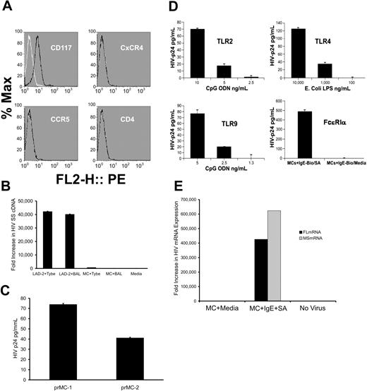 Figure 2. Mature MCs derived in vitro from CD34+ adult hematopoietic progenitors are resistant to infection with HIV. (A) FMF analysis of (CD117+) mature MCs derived from adult CD34+ hematopoietic progenitors in serum-free mast cell medium at 9 weeks in culture in vitro showed a lack of surface expression of CD4, CCR5, and CXCR4 (HIV) viral receptors and coreceptors. Black lines indicate cell populations treated with antigen-specific antibody; white lines indicate cell populations treated with isotype-matched control. (B) No detectable evidence by PCR of viral entry (SS cDNA) in mature MCs after challenge with either R5-tropic (HIVBAL) or with X4-tropic (HIVTYBE); LAD-2 control cells were susceptible to both HIVBAL and HIVTYBE. (C) Two separate cultures of productively infected HIV-infection resistant 9-week-old MCs express detectable levels of HIV p24 by ELISA. (D) Replication of infectious virus (HIV-p24+) could be reactivated in latently infected (HIV-p24 below detectable limits by ELISA) mature MCs. Activation of 13-week-old, latently infected mature MCs resulted in a dose-dependent elevation of HIV-p24 after signaling through TLR2, TLR4, TLR9, or after FcϵRIα coaggregation. (E) Latently infected 13-week-old mature MCs showed undetectable levels of HIV FL or MS mRNA that was significantly elevated (4-6 × 105-fold) after activation by IgE cross-linking. All experiments were performed a minimum of 3 times. All error bars represent standard deviation of the mean of replicate PCR reactions at each data point.