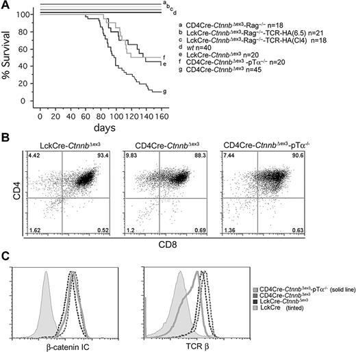 Figure 5. β-Catenin–mediated lymphomagenesis requires Rag activity. (A) Kaplan-Meyer tumor-free survival curves of LckCre-CtnnbΔex3, CD4Cre-CtnnbΔex3, LckCre-CtnnbΔex3-TCR(CL4)-Rag2−/−, LckCre-CtnnbΔex3-TCR(6.5)-Rag2−/−, and CD4Cre-CtnnbΔex3-pTα−/− mice. Mice were observed for 160 days after birth. The median latency of lymphoma development in LckCre-CtnnbΔex3, CD4Cre-CtnnbΔex3, and CD4Cre-CtnnbΔex3-pTα−/− mice was 99, 114, and 104 days, respectively, with a penetrance of 88%, 66%, and 53%, respectively. Log-rank tests indicated that CD4Cre-CtnnbΔex3 and LckCre-CtnnbΔex3 mice had significantly different disease-free survival curves (P = .007), while LckCre-CtnnbΔex3 and CD4Cre-CtnnbΔex3-pTa−/− mice have similar disease-free survival curves (P = .88). No lymphomas developed in LckCre-CtnnbΔex3-Rag2−/−, LckCre-CtnnbΔex3-TCR(CL4)-Rag2−/−, and LckCre-CtnnbΔex3-TCR(6.5)-Rag2−/− mice during the same period. (B) CD4/CD8profiles of lymphomas from the indicated mice. (C) (Histogram overlay left) Intracellular levels of β-catenin. (Histogram overlay right) Surface expression of TCRβ. The profiles presented are representative of 3 independent experiments.