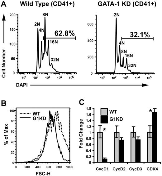 Figure 1. Megakaryocytes lacking GATA-1 show defects in both polyploidization and accumulation of cell mass. (A) Ploidy analysis of wild-type and GATA-1 KD bone marrow progenitors differentiated into megakaryocytes for 3 days. The cells were stained with anti-CD41 and DAPI to detect DNA content. Gates indicate the percentage of cells that is 8N or greater. One representative of 3 experiments is shown. (B) Cell size analysis of wild-type and GATA-1 KD cells within the 16N ploidy class were compared in a forward scatter–height histogram. The dotted line indicates the wild-type cells and the solid line, the GATA-1 KD cells. Mean FSC-A for WT and G1KD megakaryocytes was 740 and 668, respectively; confidence in difference is 99.9% based on Kolmogorov-Smimov test. One representative of 3 experiments is shown. (C) mRNA levels were determined by real-time quantitative RT-PCR of RNA isolated from wild-type and GATA-1 KD, BSA gradient–purified megakaryocytes. GATA-1 KD mRNA levels are shown relative to wild type, which were arbitrarily set to one. The means ± 1 SD are shown. Asterisks indicate P values determined by Student t test to be .05 or less. One representative of 2 experiments, each in triplicate, is shown.