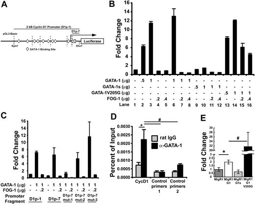 Figure 2. GATA-1 binds and activates the cyclin D1 promoter, while FOG-1 represses its transcription. (A) The pGL3-basic construct containing 2 kb of the cyclin D1 promoter upstream of the luciferase gene. Putative GATA-1–binding sites are indicated as diamonds, and dotted vertical lines indicate serial deletions made of the cyclin D1 promoter. D1p-1 is the full 2-kb fragment, and D1p-7 is the shortest 76-bp fragment. (B) Luciferase assay performed by transient transfection of NIH3T3 cells with the indicated micrograms of pcDNA3 vector containing GATA-1, GATA-1s, GATA-1 V205G, and FOG-1. Luciferase levels are shown as fold change relative to cells transfected with reporter construct alone. The total amount of DNA transfected was kept constant by transfection with empty pcDNA3 vector. One representative of 2 experiments, each in triplicate, is shown. (C) Luciferase assay performed as in panel B with luciferase vectors containing mutations in the 3 putative GATA-binding sites within the last 76 base pairs. Mutation of the first GATA site (D1p-7 mut-1) showed reduced response to GATA-1, whereas mutation of 2 other putative GATA sites (D1p-7 mut-2 and D1p-7 mut3) does not alter GATA-1 activation of the cyclin D1 promoter. D1p-1 and D1p-7 are described in panel A. One representative of 3 experiments, each in triplicate, is shown. (D) Chromatin immunoprecipitation assay performed in primary mouse fetal liver–derived megakaryocytes with primer sets directed toward the functional GATA-binding site identified in luciferase assays, as well as, downstream (control primers 1) and upstream (control primers 2) primer sets. Control rat IgG and anti–GATA-1 (N6) antibodies were used for immunoprecipitation and indicate GATA-1 enrichment at the functional GATA-1–binding site in the cyclin D1 promoter. P values were generated using the Student t test and are as follows: *P ≤ .04; #P ≤ .01. One representative of 2 experiments, each in triplicate, is shown. (E) Real-time quantitative PCR data showing expression levels of cyclin D1 mRNA following reconstitution of GATA-1 KD megakaryocytes with the empty MigR1 retroviral vector or containing wild-type GATA-1, GATA-1s, or GATA-1 V205G. Values are shown relative to empty MigR1-infected GATA-1 KD expression levels. P values were generated using the Student t test and are as follows: *P ≤ .006; #P ≤ .007. Changes between expression values of MigR1 and MigR1-G1s were not statistically significant. One representative of 3 experiments, each in triplicate, is shown. For each study in B-E, the means ± 1 SD is shown.