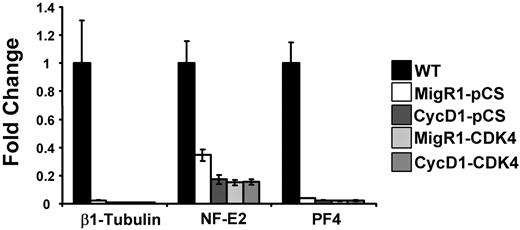 Figure 4. Ectopic cyclin D1–Cdk4 does not rescue megakaryocyte terminal differentiation. mRNA was extracted from BSA gradient–purified megakaryocytes derived from wild-type fetal livers or G1KD fetal livers infected with cyclin D1 and Cdk4 encoding retroviruses (described in Figures 3 and 5). Expression levels of β1-tubulin, NF-E2, and PF4 are shown relative to wild-type expression levels. The mean ± 1 SD is shown for each study. As shown, overexpression of cyclin D1, Cdk4, or both does affect the expression of these genes.