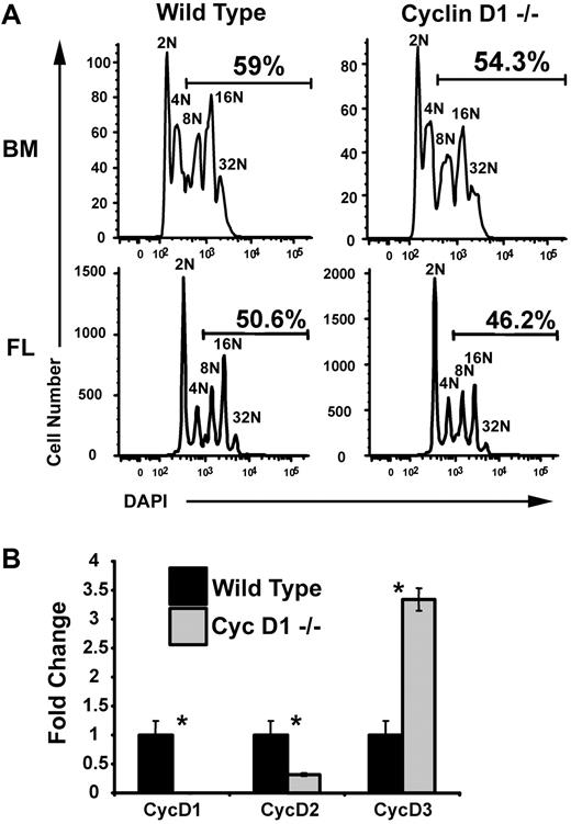 Figure 5. Loss of cyclin D1 alone does not significantly inhibit polyploidization. (A) Megakaryocytes were derived from wild-type and cyclin D1−/− bone marrow (BM) and fetal liver (FL). After enrichment on a BSA gradient, cells were stained with DAPI for DNA content and analyzed by flow cytometry. The percentages of cells with DNA content of 8N or more are shown. A reproducible reduction in polyploid cells was observed in the cyclin D1–deficient megakaryocytes. One representative of 2 experiments is shown. (B) Real-time quantitative PCR for cyclins D1, D2, and D3. mRNA was isolated from BSA gradient–purified megakaryocytes generated from wild-type and cyclin D1−/− bone marrow–derived megakaryocytes. Expression of cyclins D1, D2, and D3 were determined using primer sets specific for each transcript. Expression levels are shown relative to wild-type mRNA levels. For each study, the mean ± 1 SD is shown. Asterisks indicate P values determined by Student t test to be of .05 or less. One representative of 2 experiments, each in triplicate, is shown.