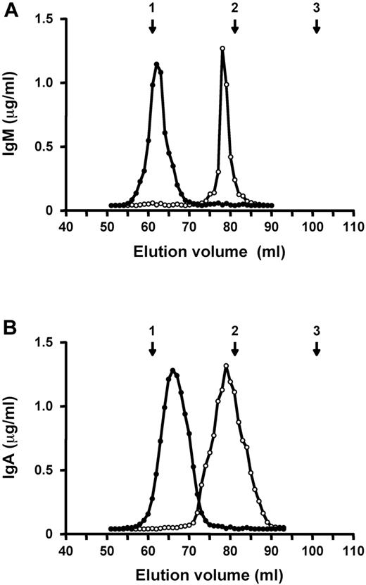 Figure 4. Elution profiles of polymeric and monomeric forms of 34-3C IgM or IgA mAb on Sephadex G200 gel filtration column. Polymeric (•) and monomeric (○) forms of 34-3C IgM (A) and IgA (B) mAb were individually subjected to a Sephadex G200 column equilibrated with 50 mM phosphate buffer (pH 7.4) containing 0.15 M NaCl, and elution was performed using the same buffer at a flow rate of 0.2 mL/min at 4°C. The column was calibrated with blue dextran (void volume), IgG (150 kD), and BSA (67 kD), and their positions are indicated by arrows: 1, void volume; 2, IgG; 3, BSA.