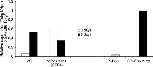 Figure 5. Expression of WT tcirg1 is up-regulated during osteoclast differentiation, while vector-mediated expression is down-regulated. Quantitative RT-PCR was performed on cDNA from freshly isolated BM cells (0 days) harvested from WT and oc/oc+tcirg1 mice (GFP+ cells) and after 6 days of culture with M-CSF and RANKL to determine the level of tcirg1 expression. Tcirg1 PCR values were normalized against the corresponding HPRT value giving a relative intensity value for comparison of different samples. Expression levels are compared to the tcirg1 vector GP+E86 producer cell line and the GFP vector GP+E86 producer cell line.