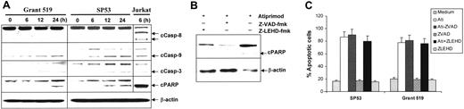 Figure 4. Atiprimod induces caspase activation in MCL cells. (A) Atiprimod-induced activation and cleavage of caspase-9, casapase-3, and PARP. As a control, anti-Fas mAb-induced caspase (-8) activation in Jurkat cells is shown. MCL cells were cultured with 2 μM atiprimod for different times. Jurkat cells were treated with 100 ng/mL anti-Fas mAb for 6 hours. Whole-cell lysates were subjected to Western blot analysis. Pan-caspase inhibitor Z-VAD or caspase-9 inhibitor Z-LEHD completely abrogated the cleavage of PARP (B), but had no effects on atiprimod-induced apoptosis in MCL cells (C). Arrows indicate cleaved (c) forms of caspases and PARP. Ati indicates atiprimod.