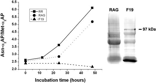 Figure 6. Effect of APCE removal on conversion of Met-α2-AP to Asn-α2-AP with time. Plasma was drawn from a person of RR Met-α2AP genotype and divided into 3 aliquots. One aliquot was mixed with an APCE F19 mAb (F19) bound to chromatography beads and incubated at 4°C to remove APCE. The second aliquot was incubated at 4°C with a nonspecific rabbit α-goat Ab (RAG) bound to beads. The third aliquot (RR) received no treatment. After removal of beads, each sample was incubated at 29°C, and Asn-α2AP/Met-α2AP ratios determined at selected times. In addition, F19-bound beads and RAG-bound beads were boiled with SDS to remove antibody-bound protein. Samples were electrophoresed on 10% Bis-Tris SDS-PAGE gels and blotted to nitrocellulose. APCE (97 kDa) was identified by Western blotting using a goat Ab to its amino-terminal region and visualized with a chemiluminescent substrate.
