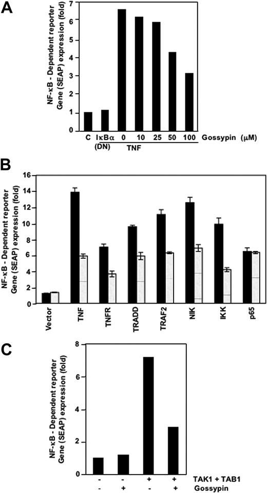 Figure 3. Gossypin inhibited the TNF-induced expression of the NF-κB-dependent genes TNFR1, TRADD, TRAF2, NIK, IKK-β, TAK-1, and TAB-1. (A-C) A293 cells were transiently transfected with NF-κB-containing SEAP reporter gene plasmid, alone or with the indicated plasmids, for 24 hours. After transfection, cells were washed and treated with 50 μM gossypin for 2 hours. To evaluate the effects of TNF treatment, we treated cells with 0.1 nmol/L TNF for an additional 24 hours. The supernatants of the culture medium were assayed for SEAP activity, as described in “Materials and methods.”