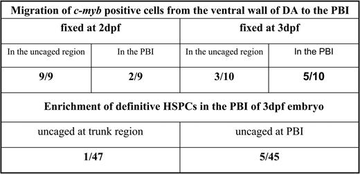 Figure 4. Migration of definitive HSPCs to the PBI. *EGFP positive cells in the anterior part of ventral wall of DA in the 30hpf Tg(fli1:eGFP) embryos were uncaged. Embryos were then fixed at either 2dpf or 3dpf for double staining against flu and c-myb. The ratio indicates the number of embryos containing flu/c-myb double positive cells found in the corresponding region versus the total number of embryos examined. †Cells in the PBI and trunk region between dorsal aorta and posterior cardinal vein were uncaged at 3dpf. Embryos were survived to 5dpf for double staining against flu and ragI. The ratio indicates the number of embryos containing flu/ragI double positive cells in the thymus versus the total number of embryos examined.