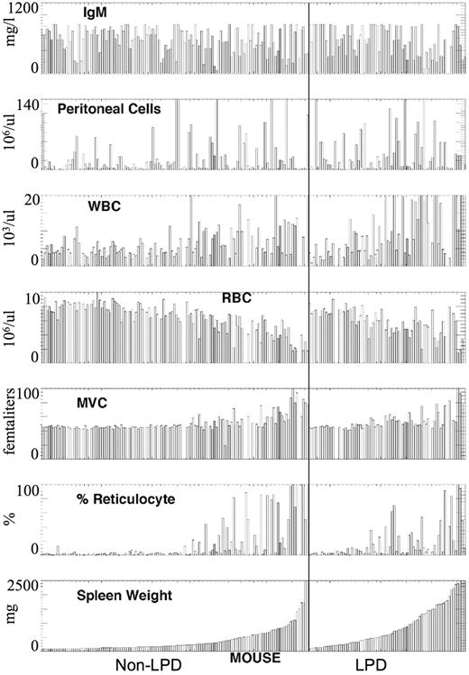 Figure 1. Phenotypic characterization of F1 backcross of NZB × DBA/2. The mice were divided into LPD (right panel) and non-LPD (left panel) based on splenic histopathology. These values were ranked ordered in each group based on splenic weight. Data are presented for serum IgM level (IgM), peritoneal cell count, white blood count (WBC), RBC, MCV, and percentage of reticulocytes.