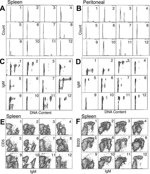 Figure 3. Flow cytometric surface and cell-cycle analysis. A total of 12 representative mice with LPD were examined and their analysis presented in order in panels A-F. The mice are numbered from 1 to 12, and data from the same animal are shown for both spleen and peritoneal lavage cells (A-D). (A-B) Single-parameter DNA content histograms for spleen and peritoneal cells. (C-D) Two-parameter IgM versus DNA content (FL2-A vs FL1-H) for spleen and peritoneal cells (E-F) Expression of IgM versus CD5 (FL1-H vs FL2-H) and IgM versus B220 (FL1 vs FL3-H), respectively, for spleen cells. Examples of splenic hyperdiploidy can be seen in panel A, mice nos. 2, 4, 8, and 9. Further resolution of these aberrant subpopulations can be better appreciated in the corresponding panel C. The smaller aneuploid populations seen in mice nos. 11 and 12 can be better appreciated in the 2-color analysis shown in panel C.