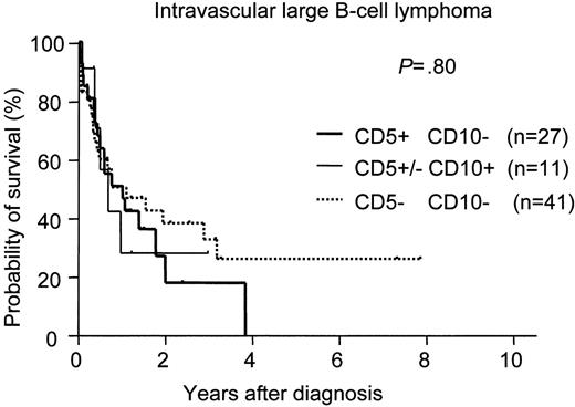 Figure 1. Survival curves for intravascular large B-cell lymphoma (IVLBCL). No significant difference was found for survival among the 3 IVLBCL groups: CD5−CD10−, CD5+CD10−, and CD5+ or CD5−CD10+. The expression of CD5 or CD10 had no significant effect on survival for IVLBCL.