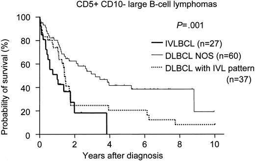 Figure 2. Survival curves for CD5+CD10− large B-cell lymphomas. De novo CD5+CD10− DLBCL without an intravascular/sinusoidal pattern (DLBCL-NOS) showed significantly better survival than either de novo CD5+CD10− DLBCL with an intravascular/sinusoidal pattern (DLBCL with IVL pattern; log-rank P = .018) or CD5+CD10− IVLBCL (P < .001). No significant difference for survival was found between CD5+CD10− IVLBCL and DLBCL with an IVL pattern (P = .158).