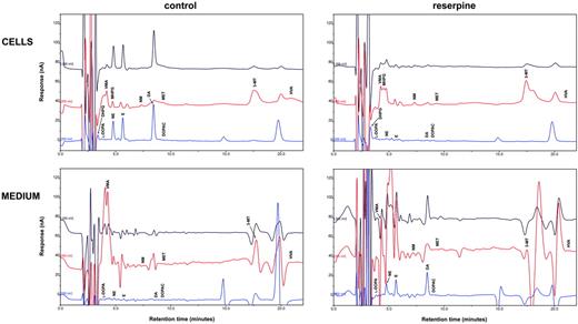 Figure 5. Effect of reserpine on endogenous catecholamines in Tregs. Chromatograms showing the effect of 1-hour incubation with 10 μM reserpine on endogenous catecholamines and their metabolites in human Tregs. Results are from 1 representative of 6 separate experiments. For quantitative data, see Table 4.