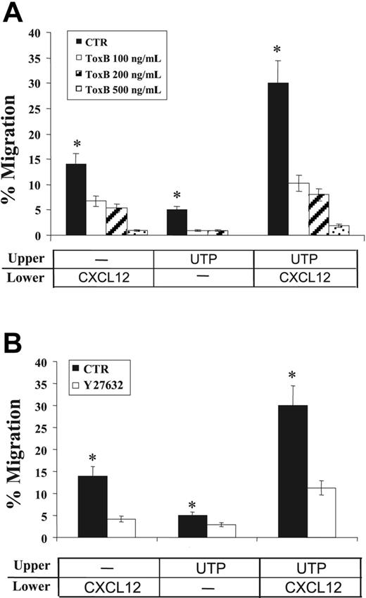 Figure 6. Effects of signal transduction inhibition on CD34+ HSC migration. The effects of clostridial ToxB and ROCK-inhibitor Y27632 on CD34+ HSC migration were assessed in transwell assays. Cells were incubated (37°C, 5% CO2) with increasing concentrations of ToxB (100, 200, and 500 ng/mL) for 18 hours prior to chemotaxis assays. Y27632 (10 μM) was included in the top chamber of transwells for the duration of the migration assay. (A) Pretreatment with ToxB markedly reduced the spontaneous migration of UTP-treated cells (P = .05) and toward CXCL12 gradients (P = .02). (B) Similarly, the migration of UTP-treated cells and their response to CXCL12 chemoattractant gradients were significantly inhibited by Y27632 treatment (P < .05). Results were obtained from 3 independent experiments and are shown as mean ± SEM. *P values less than .05.