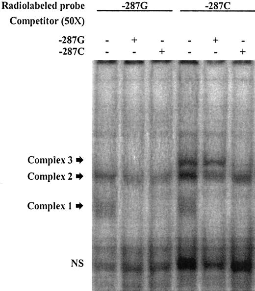 Figure 2. EMSA illustrating allelic DNA-protein interactions in the promoter region of CDKN2B. Labeled double-stranded oligonucleotide (ds-oligo) probes corresponding to the CDKN2B −287C>G alleles were incubated with HeLa nuclear extracts. Lanes 1 to 3 represent labeled −287G ds-oligos; lanes 4 to 6, labeled −287C ds-oligos. The unlabeled probes used to compete DNA-protein interactions (in 50-fold molar excess) are indicated (+) at the top of each lane. Probe sequences are listed in Table 1. Fast migrating unbound probes can be seen at the bottom of the gel (NS indicates nonspecific), and the position of the DNA-protein complexes of slower mobility are marked by arrows. In this experiment, 3 distinct complexes were found following incubation of the probes with HeLa nuclear extract. Complex 1 was observed with both labeled ds-oligos −287G and −287C (lanes 1 and 4) but was competed by both unlabeled probes, indicating unstable DNA-protein interactions. Complex 2 was also found with both alleles; the −287C-derived complex was competed by both unlabeled probes; however, the −287G-derived complex seemed to be less affected by competitors and thus more stable, suggesting higher binding affinity. Complex 3 appeared only when −287C was present (lane 4 vs lane 1). The specificity of this interaction was illustrated through competition with the specific unlabeled probe, which did not occur with the mismatched −287G probe (lane 6 vs lane 5).