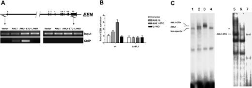 Figure 3. Induced expression of EEN by AML1-ETO. (A) AML1-ETO targets the promoter region, as revealed by chromatin immunoprecipitation (ChIP) assay. The primers for the promoter region and the last exon (as control) are indicated by arrows. The numbers above the bar indicate the exon numbers. pSG5M, pSG5M-AML1b, pSG5M-AML1-ETO, and pSG5M-AML1-ETO (L148D) (10 μg each) were electroporated into the HL60 cells and immunoprecipitated by anti–FLAG M2 antibody. Input indicates input chromatin; ChIP, immunoprecipited chromatin. (B) AML1-ETO activates the wild-type (wt) promoter of the EEN gene. The EEN promoter–luciferase reporter gene construct (pGB-EENP7) was cotransfected with the expression vectors of AML1b, AML1-ETO, or mutant AML1-ETO (L148D). AML1b slightly increased the promoter activity, but the mutant AML1-ETO (L148D) did not. Mutant EEN promoter without the AML1 binding site (ΔAML1) was not activated by AML1-ETO or AML1b. The average firefly luciferase / Renilla luciferase activity on pGL3-EENP7 of the vector control was assigned a value of 1. Results are expressed as the means of 3 independent experiments plus or minus standard deviations. (C) AML1-ETO binds the wild-type (wt) promoter of the EEN gene. Flag-tagged recombinant proteins were prepared by in vitro translation. AML1b, AML1-ETO, and AML1-ETO (L148D) (lanes 2-4) were incubated with γ-32P–labeled double-strand probe and run on a 4.5% native polyacrylamide gel. A retarded band was seen in AML1-ETO and AML1b, but not in AML1-ETO (L148D). Lane 1 was a negative control without template in in vitro translation. For the EMSA supershift assay the antibody against ETO was added to nuclear extracts from Kasumi-1 cells before incubation with radiolabeled probe. A supershift band is indicated by the asterisk (lane 6). Lane 7 was obtained with 100-fold molar excess of unlabeled competing oligonucleotides.