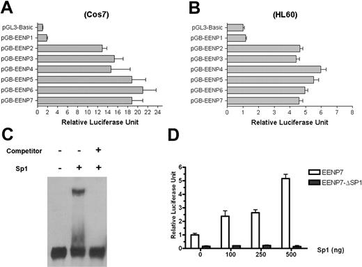 Figure 4. Transcriptional regulation of the EEN gene by Sp1. (A) Deletion analysis of the activity of the EEN promoter in the Cos7 cell line. A significant difference is observed between EENP1 and other EEN promoter constructs. (B) Deletion analysis of the activity of the EEN promoter in the HL60 cell line shows similar results as in Cos7 cells. (C) EMSA showing the binding of Sp1 to the GC-stretch of EEN promoter with a DIG-labeled probe spanning the −107/−60 site. (D) Transcriptional activation of the EEN promoter by Sp1 in a dose-dependent manner. Each column represents the mean ± SD in 3 independent experiments.