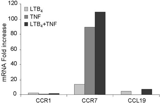 Figure 5. LTB4-induced changes in gene expression profiles. A cytokine and chemokine SuperArray was performed using 2 μg/mL RNA for each sample as described in “Methods.” The graph indicates the fold increase of each group over iDCs showing changes in CCR1, CCR7, and CCL19.