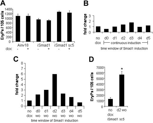 Figure 4. Activating Smad1 signaling after EryP-CFC specification has no effect on EryP numbers, but a timed pulse of Smad1 expands EryP colony formation. (A) The primitive EryP colony-forming potential of Ainv18, iSmad1 mixed, and iSmad1 sc5 EBs were examined. EBs were induced on day 4 and replated at day 6 in the presence of EPO (2 U/mL). EryP colonies were scored 5 days later. Ainv18 is the parental ES cell line and control. For each sample, n = 3. (B) Data from a single representative experiment analyzing the EryP colony-forming potential of iSmad1iresEGFP sc5 EBs examined after continuous induction initiated at different times. Developing iSmad1 EBs were untreated or treated with doxycycline on the indicated days and Smad1 expression was maintained as previously described (Figure 3C-F) until day 5.75 when the EBs were harvested and replated with EPO (2 U/mL). EryP colonies were scored 5 days after plating. Shown is the fold change compared to the untreated (no dox) control. The modest increases seen here with induction at day 2 or day 3 were not statistically significant in multiple experiments. (C) The iSmad1 EBs were untreated (no dox) or treated with the doxycycline by the washout (wo) procedure on the day indicated. EBs were harvested and replated with EPO (2 U/mL) on day 5.75. The data shown are from a single representative experiment. Shown is the fold change compared to the untreated control. (D) Statistical analysis of EryP colony formation from day 5.75 iSmad1 EBs comparing untreated and samples induced at day 2 to 2.25 with doxycycline. For each sample, n = 4. Error bars represent the SEM and the asterisk indicates P < .01 compared to the no dox samples.