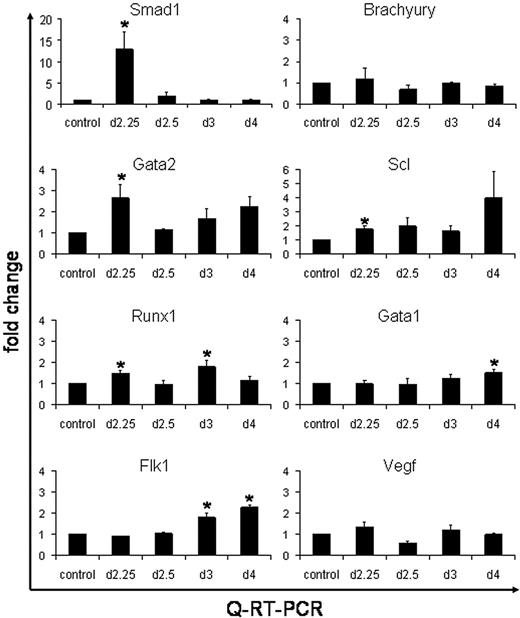Figure 6. QPCR analysis shows activation by Smad1 of hemangioblast-associated genes. The iSmad1 EBs were left untreated or treated with doxycycline from day 2 to 2.25. Age-matched untreated and treated samples were harvested at day 2.25, day 2.5, day 3, or day 4. The cDNA was generated from isolated RNA and QPCR was performed. The data were processed using the 2-ΔΔCT method.26 The median of each sample was normalized to its respective age-matched untreated control and the median average (n = 3) was graphed as fold change in RNA expression. The QPCR analysis was performed for Smad1, Brachyury, Gata2, Scl, Runx1, Flk1, and Vegf, as indicated. Error bars indicate the SEM and the asterisks indicate a P < .01 compared to the no dox samples.