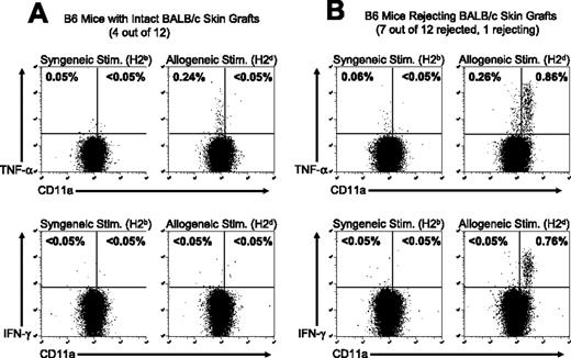 Figure 5. The activation state of alloreactive T cells correlates with skin allograft outcome in mice treated with costimulation blockade. C57BL/6 mice were treated with anti-CD154 mAb and a BALB/c DST and engrafted with BALB/c skin as described in “Materials and methods.” At 101 days after transplantation, (A) 4 of 12 C57BL/6 mice retained intact BALB/c skin grafts and (B) 8 of 12 mice had completely rejected the allogeneic skin or were in the process of graft rejection. Splenocytes were harvested from the recipient mice 101 days after skin transplantation and stimulated in vitro with syngeneic C57BL/6 (H2b) or allogeneic BALB/c (H2d) splenocytes. Samples were then stained for cell surface markers and for TNF-α or IFN-γ. Samples were gated on CD8+ cells, and the values shown represent the percentage of CD8+ T cells staining positive for TNF-α or IFN-γ. Representative dot plots are shown.