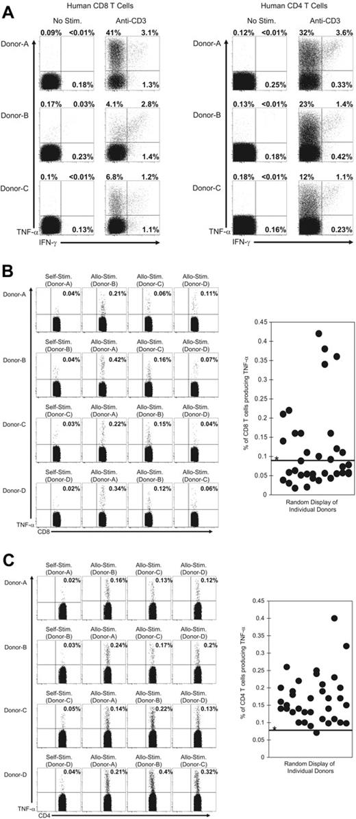 Figure 7. Human alloreactive T cells rapidly produce TNF-α after TCR engagement. PBMCs from human donors were stimulated with (A) a mAb specific for human CD3 or (B-C) with either allogeneic or autologous CFSE-labeled PBMCs as described in “Materials and methods.” After 6 hours samples were stained for cell surface markers and for TNF-α and IFN-γ. For T cells stimulated with anti-CD3 mAb (A), samples were gated on CD3+ cells and then on either CD8+ or CD4+ cells and analyzed for their expression of TNF-α or IFN-γ. The values represent the percentage of T cells that produced TNF-α or IFN-γ. For T cells stimulated with CFSE-labeled PBMCs, samples were gated on the CFSE low cells that were CD3+ cells and either (B) CD8+ or (C) CD4+. The values represent the percentage of T cells that produced TNF-α. Samples were considered positive for TNF-α production if the values were more than 3 standard deviations over the mean of TNF-α produced by T cells from 12 donors after stimulation with autologous CFSE-labeled PBMCs (*0.09% for CD8 and 0.08% for CD4). This threshold value is indicated by the horizontal line on the graphs. The data are representative of 3 experiments with a total of 12 donors in 36 combinations.