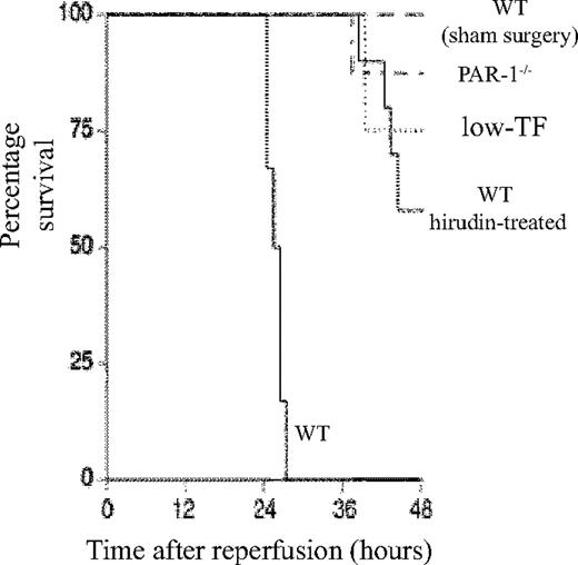 Figure 1. Role of TF–thrombin–PAR-1 system in renal ischemia/reperfusion injury. Kaplan-Meier plot of the survival of WT (n = 6), low-TF (n = 4), and WT mice treated with hirudin (n = 12) and PAR-1−/− (n = 8) mice undergoing 25 minutes of bilateral renal ischemia and WT sham-operated mice (n = 4) 48 hours after surgery. Low-TF, WT-hirudin treated, and PAR-1−/− mice all had significantly improved survival (P < .01).