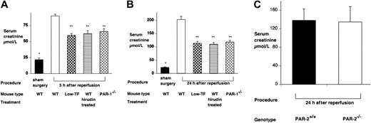 Figure 2. Effect of renal ischemia reperfusion injury on renal function. Serum creatinine of WT (n = 6), low-TF (n = 6), and WT (n = 6) mice treated with hirudin and PAR-1−/− (n = 6) mice undergoing 25 minutes of bilateral renal ischemia. Treatment was followed by (A) 5 or (B) 24 hours of reperfusion or, for WT mice, sham surgery. IR resulted in significant renal failure in WT versus sham-operated mice. *P < .001 at both 5 and 24 hours of reperfusion. Low-TF, hirudin-treated WT mice and PAR-1−/− mice developed significantly less severe renal failure compared with WT mice (**P < .001). (C) Serum creatinine of PAR-2−/− (n = 8) or background strain control WT (PAR-2+/+) (n = 8) mice undergoing 25 minutes of bilateral renal ischemia followed by 24 hours of reperfusion. PAR-2−/− mice developed similar degree of renal failure compared with the WT controls. Data are expressed as mean ± SEM.