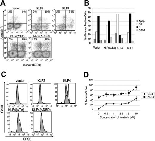 Figure 3. KLF4 induces cell-cycle arrest/delay and death that is nonredundant with imatinib. (A) v-Abl–transformed cells were harvested at 48 hours after infection and stained for hCD4 and annexin V for FACS analysis. The percentages of death in marker-negative and -positive cells are displayed in the top left and right quadrants, respectively. Data are representative of 3 to 5 experiments. (B) v-Abl–transformed cells were infected and harvested as in panel A and then stained for marker and propidium iodide to measure cell cycle. Percentages of G1, S, and G2/M were calculated from a live cell gate, with apoptosis calculated as the fraction of total cells with subdiploid DNA content. Data are representative of at least 5 experiments. (C) v-Abl–transformed cells were stained with CFSE, infected with indicated retroviruses, and analyzed by FACS 24 hours after transduction. The gray shaded trace represents the population that is negative for the marker gene while the darker line represents cells that have been infected and express the marker. Data are representative of 3 experiments. (D) v-Abl cells were incubated with the indicated concentration range of imatinib 24 hours after transduction with MIC or MIC-KLF4 and then stained with annexin V 24 hours later for analysis by FACS. Representative plot from 2 experiments is shown and error bars represent SD.