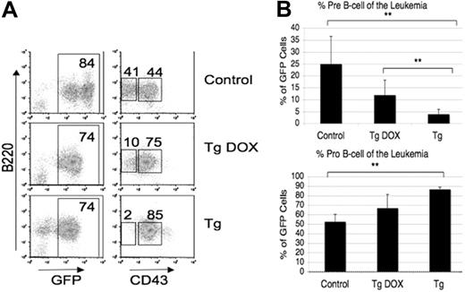 Figure 6. DOX-regulated KLF4 expression depletes BCR-ABL–transformed pre-B cells in vivo. Bone marrow from FVB/N mice that were either nontransgenic or double transgenic for MMTV-tTA and TRE-KLF4 was transduced with BCR-ABL and injected in lethally irradiated FVB/N mice. Recipients were given water with or without DOX. (A, B) Leukemic mouse bone marrow was analyzed for progenitor B-cell markers as in Figure 2D. Percentages are displayed on a representative plot (A). Mean percentage of pre-B and pro-B cells was calculated and graphed (B). Error bars indicate SD. **P < .01. Of the 5 mice receiving nontransgenic cells, 3 were treated with DOX and 2 without, and there was no appreciable difference in disease latency or phenotype.