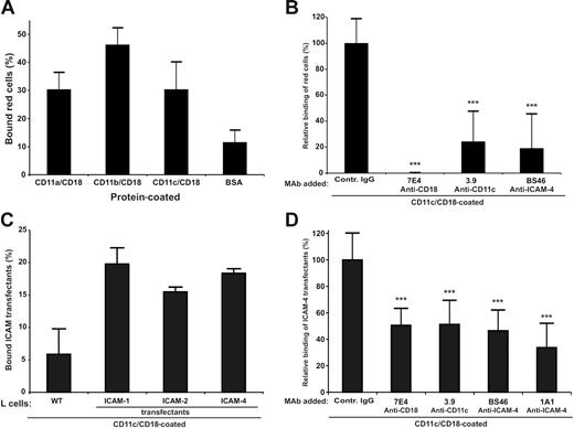 Figure 1. Adhesion of red cells and ICAM-4 transfectants to CD11c/CD18 is mediated by ICAM-4. Adhesion assays were as described in “Materials and methods.” (A) The binding of erythrocytes to 1 μmg coated β2 integrins; (B) the inhibitory effect of anti–ICAM-4 (BS46), anti-CD18 (7E4), and anti-CD11c (3.9) monoclonal antibodies on the adhesion of red cells to purified CD11c/CD18. (C) Wells were coated with 1 μmg purified CD11c/CD18, and the adhesion of parental L cells and different ICAM L-cell transfectants was measured. (D) The effect of antibodies on binding of ICAM-4 L-cell transfectants to 1 μmg coated CD11c/CD18 was studied. The data in panels A and C are presented as a percentage of attached cells (amount of bound cells divided by input of cells). The results in panels B and D are expressed as a relative percentage of bound cells, where 100% is calculated from the total number of cells bound to the CD11c/CD18 in the absence of pretreatment with MAbs. The significance was determined by unpaired Student t test. Controls included unrelated mouse IgG antibody and wells with coated control protein (GPA) or without coated protein (BSA only). Background binding of cells to GPA or BSA was subtracted. The experiments were repeated 3 times with similar results. Data are expressed as mean ± SD, and statistical significances are shown, ***P< .005.