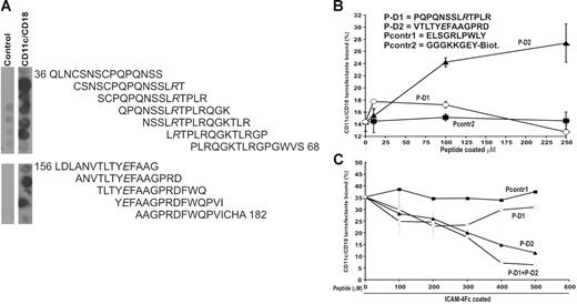 Figure 6. CD11c/CD18 binds selectively to peptides derived from the ICAM-4 sequence. (A) A total of 56 overlapping synthetic peptides 15 amino acid-long that corresponded to the protein sequence of the extracellular part of ICAM-4 were synthesized as immobilized spots on a cellulose membrane. The reactivities of the peptides with purified CD11c/CD18 integrin were tested. The CD11c/CD18 mAb CBRp150/4G and peroxidase-conjugated rabbit antimouse antibody were used to detect bound CD11c/CD18 integrin. The figure shows the reactivity of the overlapping peptides selected with the soluble CD11c/CD18 integrin. Negative control was carried out in the absence of the integrin. According to these results 2 peptides were chosen for solid-phase synthesis: P-D1 derived from the ICAM-4 Ig-like domain 1 and P-D2 derived from the domain 2. Both of the peptides included an amino acid shown to be involved in adhesion to CD11c/CD18 according to our mutational studies (see Figure 4). (B) The adhesion of the CD11c/CD18 transfectants to biotinylated versions of the selected ICAM-4 peptides and a control peptide (Pcontr2) captured by streptavidin microplates. Indicated amounts of the peptides were coated per well, and the cell adhesion was performed as described in “Materials and methods.” Sequences of the synthesized ICAM-4–derived peptides and the peptides used as control are listed in the figure. (C) The effects of the defined ICAM-4 peptides and the control peptide on adhesion of the CD11c/CD18 transfectants to coated ICAM-4Fc are shown. The cells were pretreated or not with the control peptide (Pcontr1), P-D1, P-D2 or the P-D1 and P-D2 peptides together at different final concentrations. A representative binding experiment with results expressed as the percentage of input cells bound are shown. Control peptides (▪), P-D2 (▴), P-D1 (○), P-D1 + P-D2 (◊).
