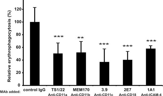 Figure 7. Phagocytosis of red cells by macrophages is inhibited by β2 integrin and ICAM-4 antibodies. (A) Effect of mAbs against the CD11a (TS1/22), CD11b (MEM170), CD11c (3.9), CD18 (2E7), and ICAM-4 (1A1) on erythrophagocytosis. The results are presented as relative phagocytosis derived from mean values of the data; ***P < .001, **P < .01.