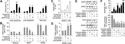 Figure 6. TACI-Ig attenuates spontaneous as well as BAFF- and APRIL-induced survival and proliferation of malignant HRS cells. (A) Apoptosis and necrosis in HD-MyZ HRS cells incubated for 2 days in the presence or absence of control Ig, TACI-Ig, and BAFF-R–Ig. Early apoptotic, late apoptotic, and necrotic cells were annexin-V+propidium iodide-, annexin-V+propidium iodide+, and annexin-V−propidium iodide+, respectively. Bars indicate SD of 4 experiments; *P < .05 and **P < .005 versus cells incubated with medium, respectively (leftmost bar of each cluster). (B) Proliferation of HD-MyZ HRS cells incubated for 2 days with or without BAFF and APRIL and in the presence or absence of control Ig, TACI-Ig, and BAFF-R–Ig. Bars indicate SD of 4 experiments; *P < .05 and **P < .005 versus cells incubated with medium, respectively (leftmost bar of each cluster). (C-D) Viability and proliferation of HD-MyZ HRS cells incubated for 2 days with or without a control, or anti-TACI or anti-BCMA antibody immobilized on CD32-L cells. Bars indicate SD of 4 experiments; *P < .05 and **P < .005 versus cells incubated with medium, respectively (leftmost bar of each panel). (E-F) Apoptosis, proliferation, and NF-κB–DNA binding activity of HD-MyZ HRS cells incubated for 2 days with control, BAFF, APRIL, TACI, and/or BCMA siRNAs. Bars indicate SD of 4 experiments; *P < .05, *P < .005, and **P < .001 versus cells incubated with control siRNA, respectively (leftmost bar of each panel). Antibodies to p65, p50, and c-Rel as well as a cold NF-κB–binding probe were used in supershift assays (bottom-right gel) to identify NF-κB–DNA complexes.