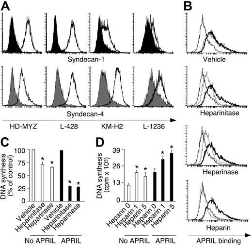 Figure 7. HSPGs enhance spontaneous and APRIL-induced HRS cell survival and proliferation. (A) Expression of syndecan-1 and syndecan-4 by HD-MyZ, L-428, KM-H2, and L-1236 HRS cells. Open and solid profiles correspond to experimental antibody and control antibody with irrelevant binding activity, respectively. (B) Binding of APRIL to HD-MyZ HRS cells pretreated with vehicle, heparinitase, heparinase, or heparin. Thin line corresponds to fluorescence of control streptavidin. Thick line corresponds to APRIL-binding activity of untreated HRS cells. Dashed line corresponds to APRIL-binding activity of HRS cells pretreated for 2 hours with control vehicle, heparinitase, heparinase, or heparin. Background fluorescence generated by control streptavidin was equivalent in HRS cells after various treatments. (C) Proliferation of HD-MyZ HRS cells exposed or not to APRIL after pretreatment with control vehicle, heparinitase, or heparinase. Cpm were converted into percentage of control as follows: cpm with pretreatment/cpm without pretreatment ×100. Bars indicate SD of 4 experiments; *P < .05 versus cells incubated with control vehicle (leftmost bar of each cluster). (D) Proliferation of HD-MyZ HRS cells exposed or not to APRIL in the presence of 0, 1, or 5 μg/mL heparin. Bars indicate SD of 3 experiments; *P < .05 versus cells incubated in the absence of heparin (leftmost bar of each cluster).